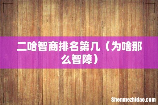 为啥那么智障 二哈智商排名第几