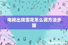 电视出现雪花怎么调方法步骤