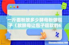 放酵母让包子暄软的6大技巧 一斤面粉放多少酵母粉做包子