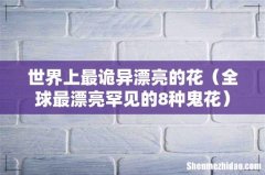 全球最漂亮罕见的8种鬼花 世界上最诡异漂亮的花