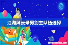 江湖风云录男剑主队伍选择
