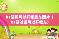b1驾照可以开哪些车图片（b1驾驶证可以开啥车)