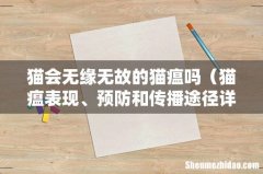猫瘟表现、预防和传播途径详解 猫会无缘无故的猫瘟吗