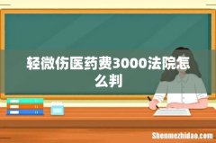 轻微伤医药费3000法院怎么判