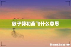 骰子劈和斋飞什么意思