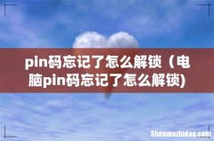 pin码忘记了怎么解锁（电脑pin码忘记了怎么解锁)