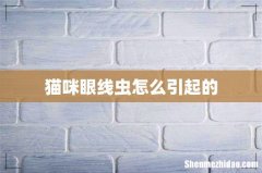猫咪眼线虫怎么引起的