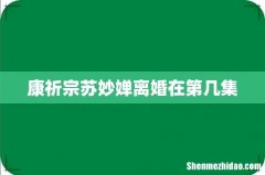 康祈宗苏妙婵离婚在第几集