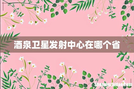 酒泉卫星发射中心在哪个省