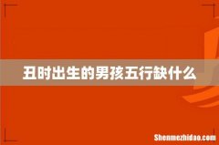 丑时出生的男孩五行缺什么