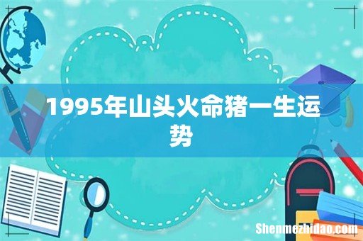 1995年山头火命猪一生运势