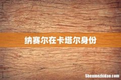 纳赛尔在卡塔尔身份