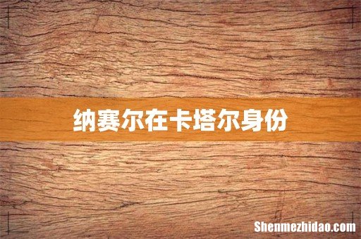 纳赛尔在卡塔尔身份
