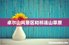 卓尔山风景区和祁连山草原