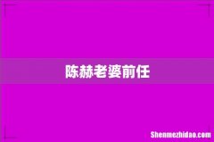 陈赫老婆前任