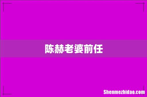 陈赫老婆前任