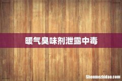 暖气臭味剂泄露中毒