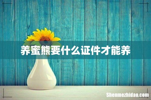 养蜜熊要什么证件才能养