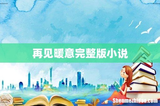 再见暖意完整版小说