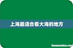 上海最适合看大海的地方
