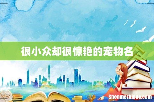 很小众却很惊艳的宠物名