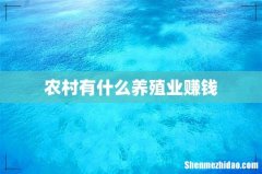 农村有什么养殖业赚钱