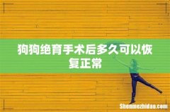 狗狗绝育手术后多久可以恢复正常