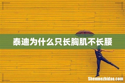 泰迪为什么只长胸肌不长腰