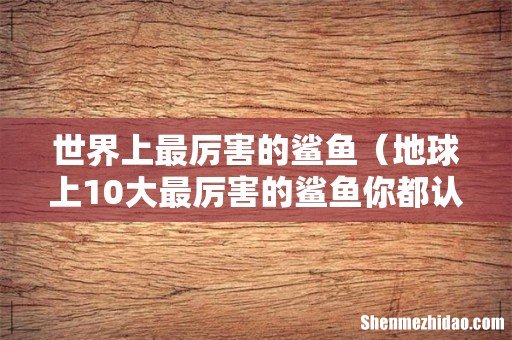地球上10大最厉害的鲨鱼你都认识吗 世界上最厉害的鲨鱼