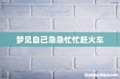 梦见自己急急忙忙赶火车