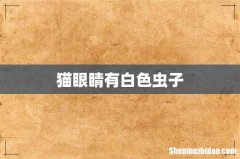 猫眼睛有白色虫子