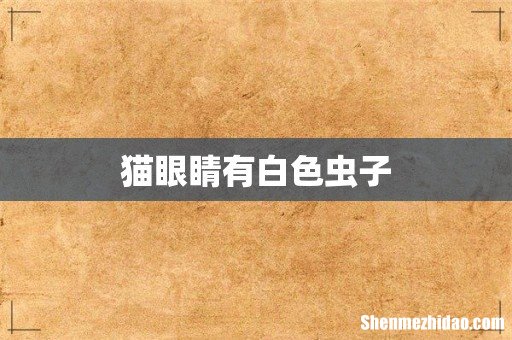 猫眼睛有白色虫子