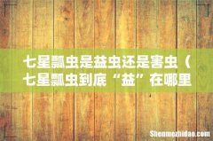 七星瓢虫到底“益”在哪里 七星瓢虫是益虫还是害虫