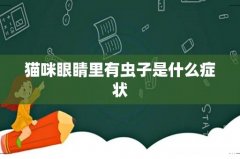 猫咪眼睛里有虫子是什么症状