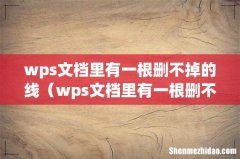 wps文档里有一根删不掉的线（wps文档里有一根删不掉的线怎么办)