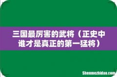 正史中谁才是真正的第一猛将 三国最厉害的武将