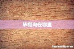 毕棚沟在哪里