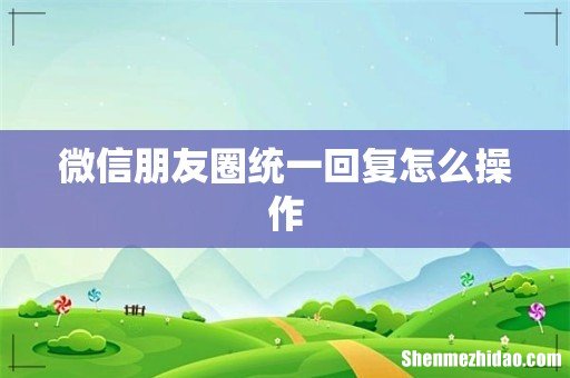 微信朋友圈统一回复怎么操作