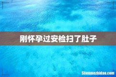 刚怀孕过安检扫了肚子