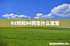 93鸡和94狗生什么宝宝