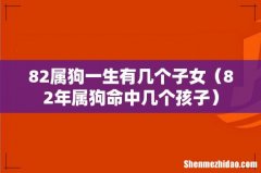 82年属狗命中几个孩子 82属狗一生有几个子女