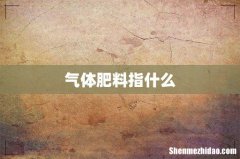 气体肥料指什么