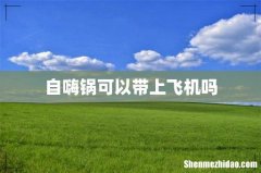 自嗨锅可以带上飞机吗