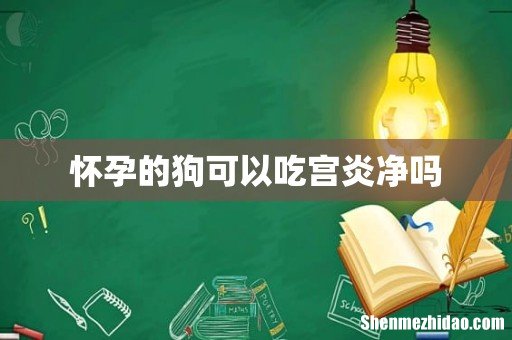 怀孕的狗可以吃宫炎净吗