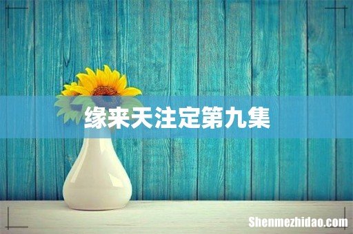 缘来天注定第九集