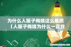 人贩子梅姨为什么一直找不到 为什么人贩子梅姨这么难抓