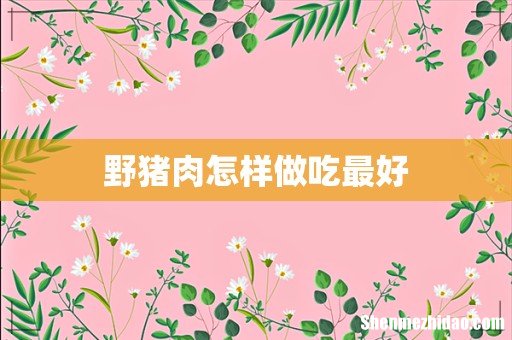野猪肉怎样做吃最好