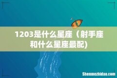 1203是什么星座（射手座和什么星座最配)