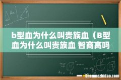 B型血为什么叫贵族血 智商高吗 b型血为什么叫贵族血