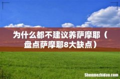 盘点萨摩耶8大缺点 为什么都不建议养萨摩耶